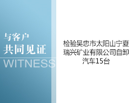 吴忠市太阳山宁夏瑞兴矿业有限公司